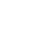 Evolution games at Slot Nite Casino